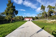 Property 64742 photo 22