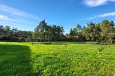 Property 64742 photo 25