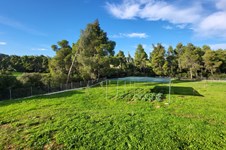 Property 64742 photo 23