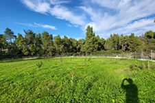 Property 64742 photo 26