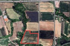 Property 64743 photo 1