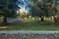 Property 64783 photo 11