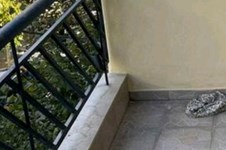 Property 64796 photo 9