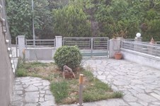 Property 64805 photo 21