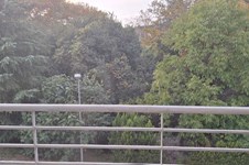 Property 64805 photo 10