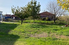 Property 64814 photo 6