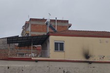 Property 64819 photo 1