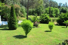 Property 64824 photo 32