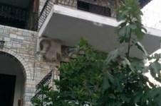 Property 64841 photo 6