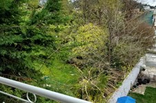 Property 64842 photo 18