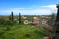 Property 64845 photo 12