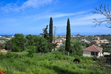 Property 64845 photo 11