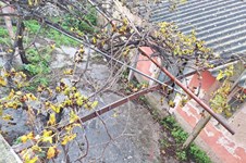 Property 64849 photo 15