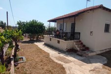 Property 64854 photo 11