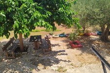 Property 64854 photo 19