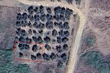 Property 64860 photo 1