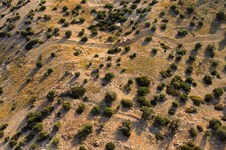 Property 64871 photo 2