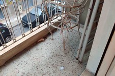 Property 64877 photo 9