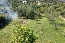 Property 64886 photo 17