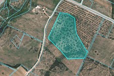 Property 64902 photo 1