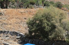 Property 64906 photo 68