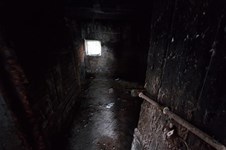 Property 64907 photo 7