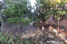 Property 64907 photo 13