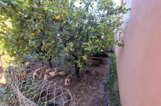 Property 64907 photo 12