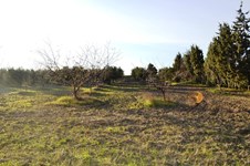 Property 64909 photo 20