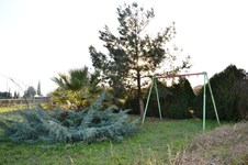 Property 64909 photo 21