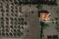 Property 64909 photo 31