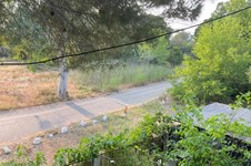 Property 64920 photo 21