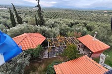 Property 64926 photo 35