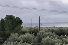 Property 64926 photo 38