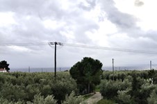 Property 64926 photo 40