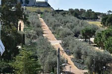 Property 64960 photo 1