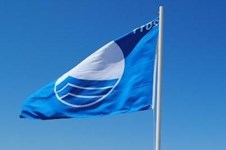 Property 64974 photo 7