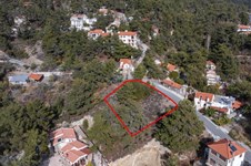 Property 64977 photo 1