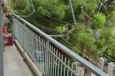 Property 65018 photo 2