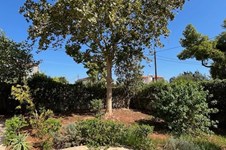 Property 65043 photo 12