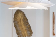 Property 65047 photo 10