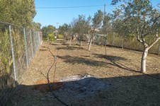 Property 65051 photo 24