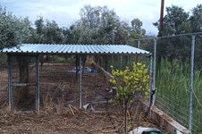 Property 65051 photo 25