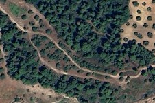 Property 65109 photo 1