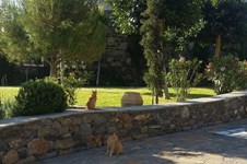 Property 65110 photo 17