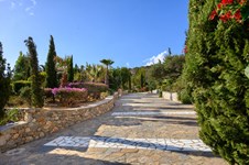 Property 65110 photo 12