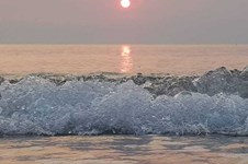 Property 65114 photo 4