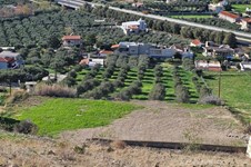 Property 65125 photo 7