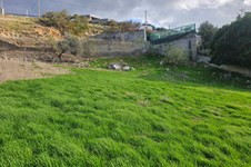 Property 65125 photo 6