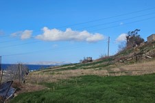 Property 65125 photo 5